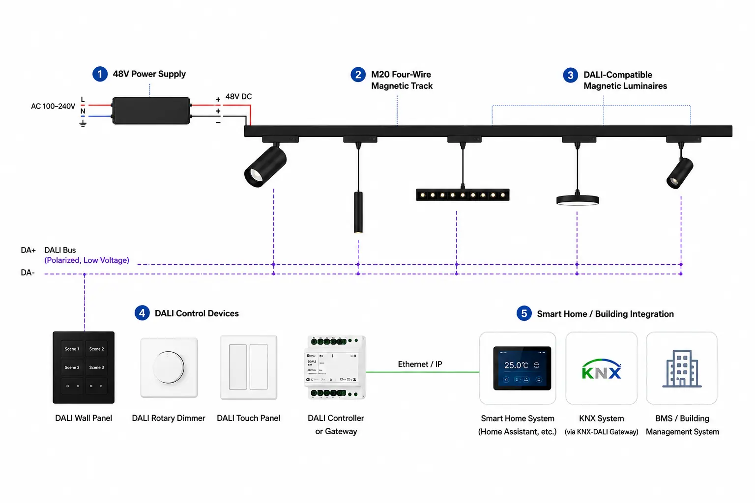 DALI M20 Magnetic Track Lighting System Diagram DALI M20 magnetic track lighting system diagram with 48V power supply control devices and KNX integration